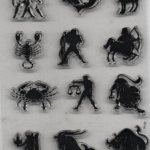 Tampon transparent 12 signes du zodiaque pour décoration 12 pièces